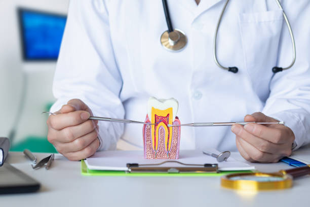 Best 24-Hour Dental Clinic Near Me  in Mcqueeney, TX